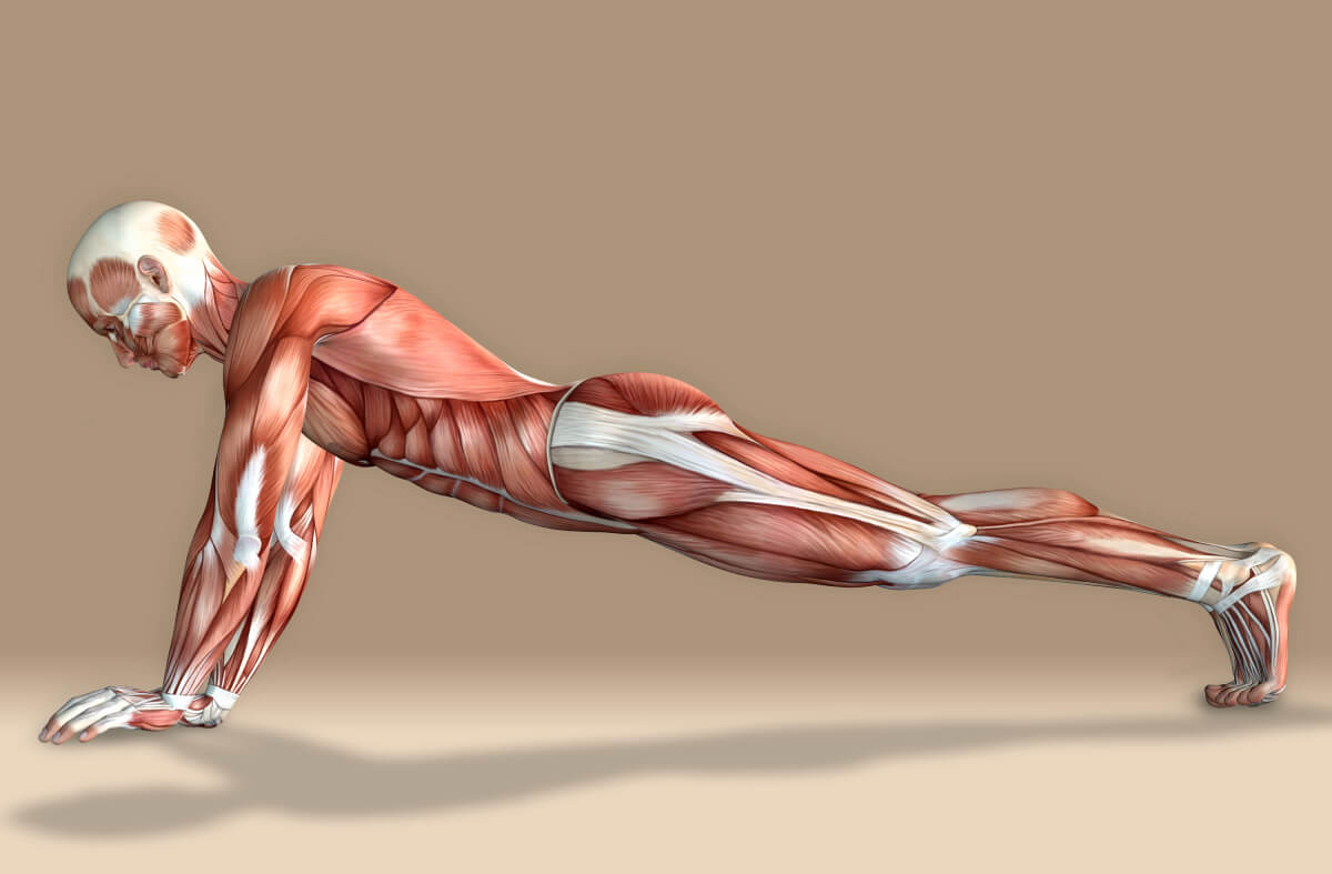Medical male figure